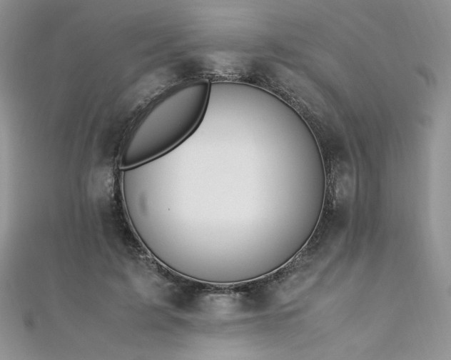 X0000110930595200906181430