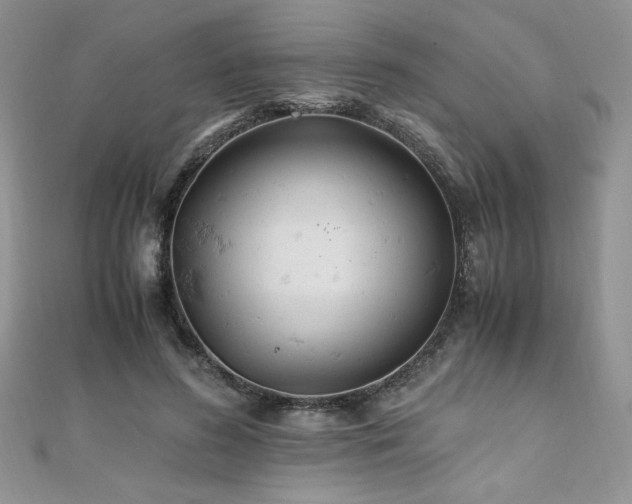 X0000110930596200906181430