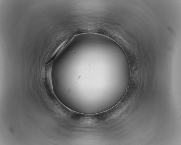 X0000110930597200906181430