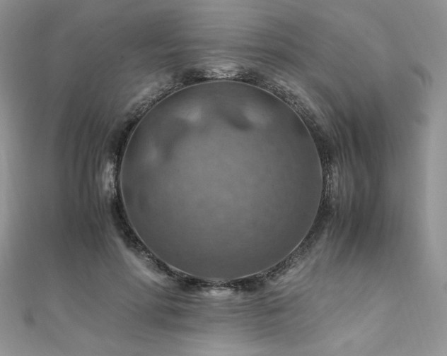 X0000110930598200906181430