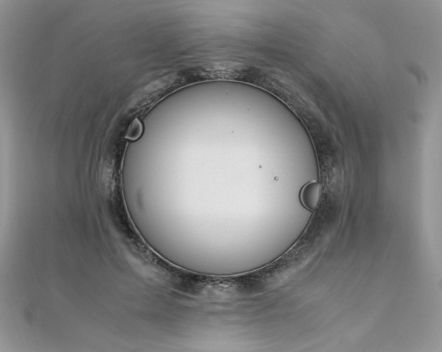 X0000110930599200906181430