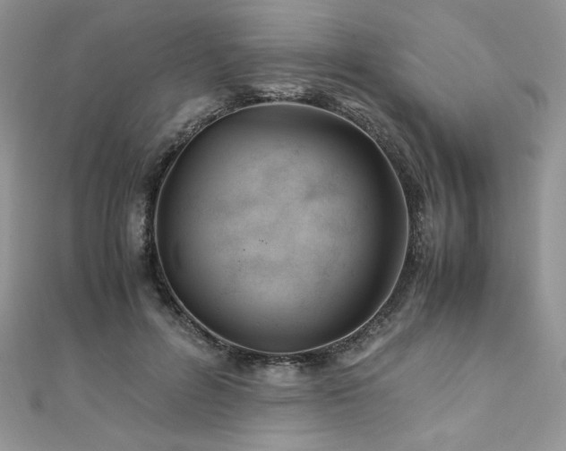 X0000110930600200906181430