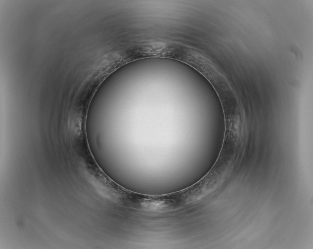 X0000110930602200906181430