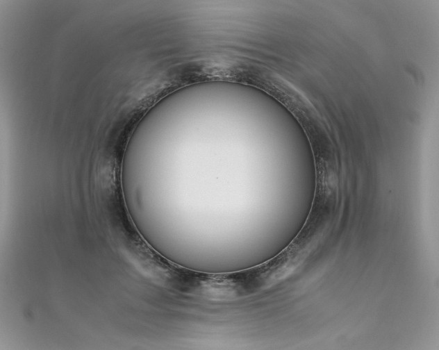 X0000110930603200906181430