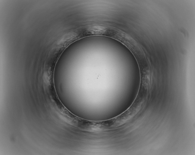 X0000110930604200906181430