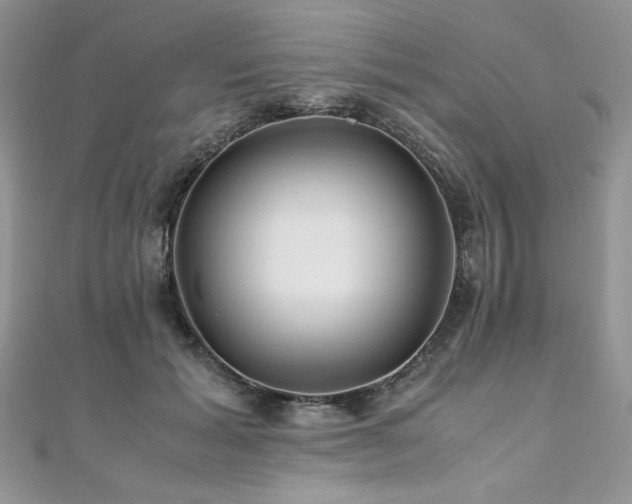 X0000110930605200906181430