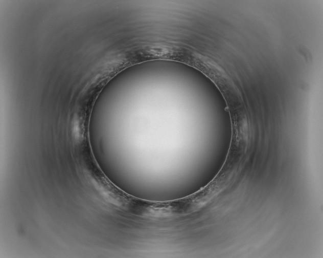 X0000110930606200906181430