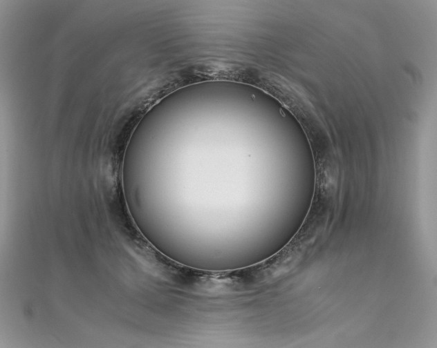 X0000110930607200906181430