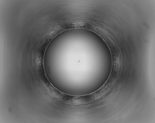 X0000110930608200906181430