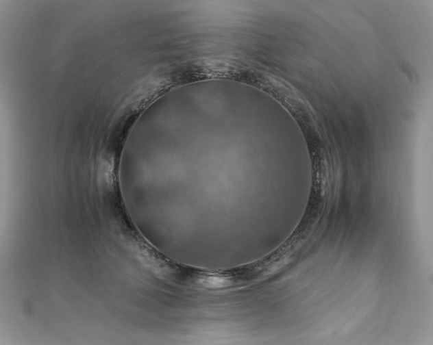 X0000110930610200906181430