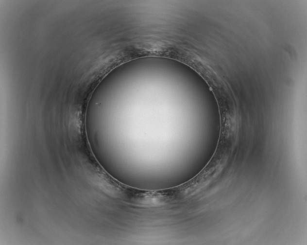 X0000110930612200906181430