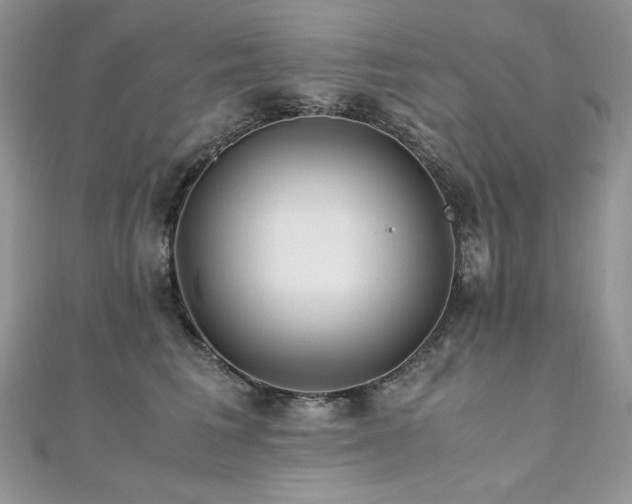 X0000110930613200906181430