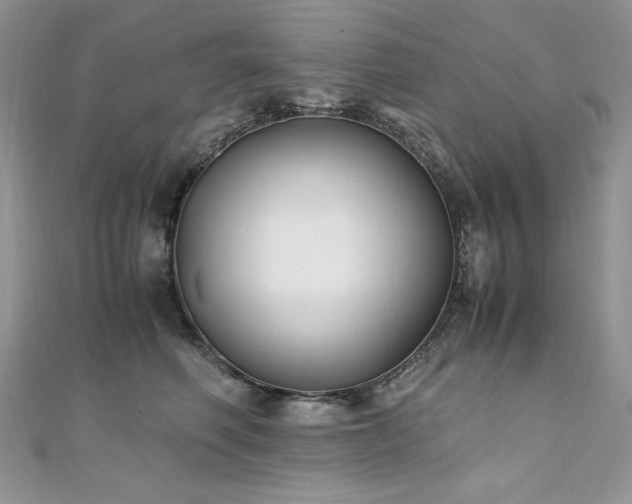 X0000110930614200906181430