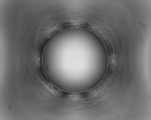 X0000110930615200906181430