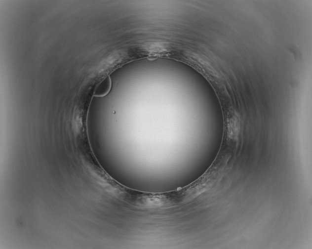 X0000110930618200906181430