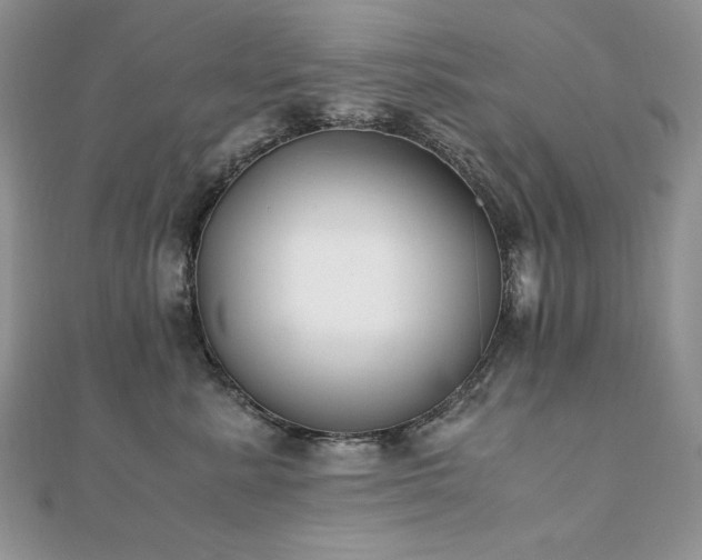 X0000110930619200906181430