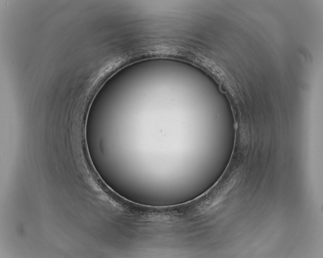 X0000110930625200906181429