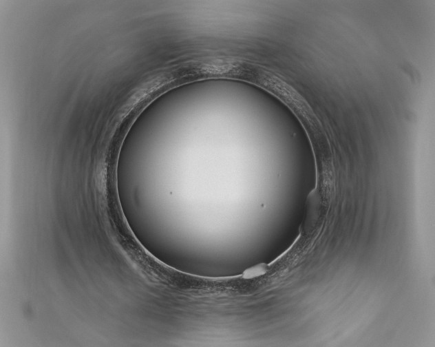 X0000110930626200906181429