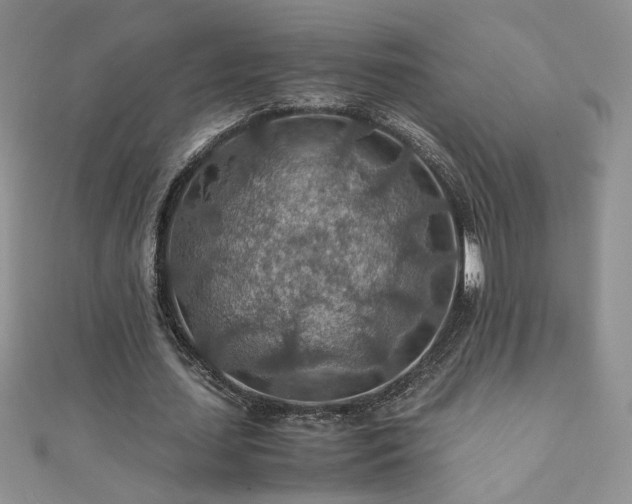 X0000110930627200906181429