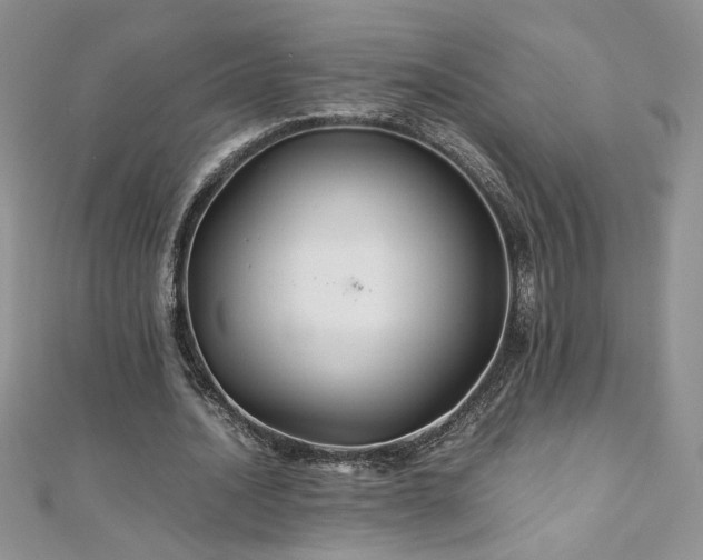 X0000110930628200906181429