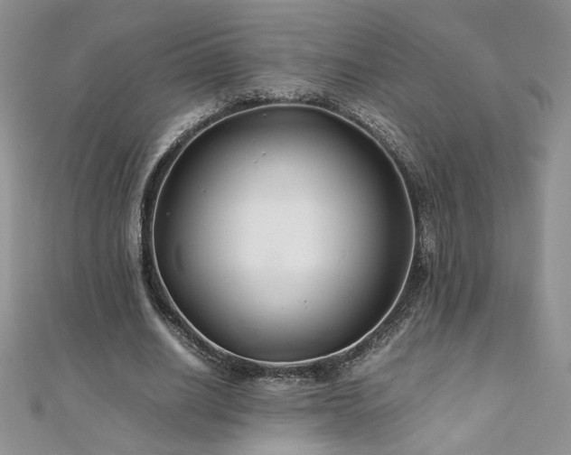 X0000110930630200906181429