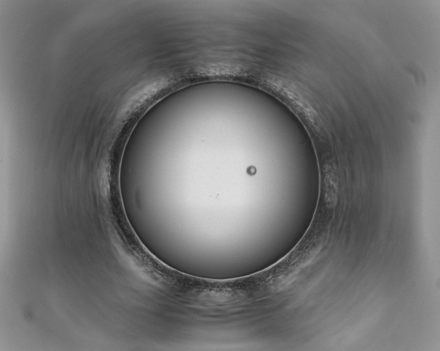 X0000110930631200906181429