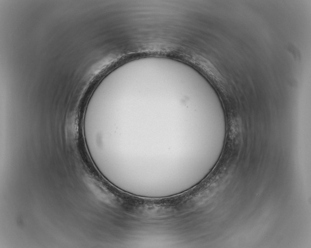 X0000110930632200906181430