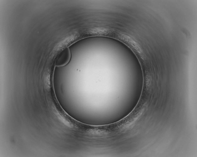 X0000110930633200906181430
