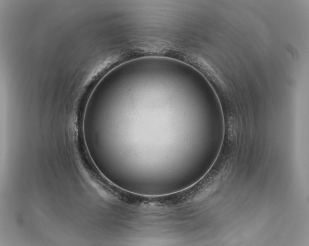 X0000110930634200906181430