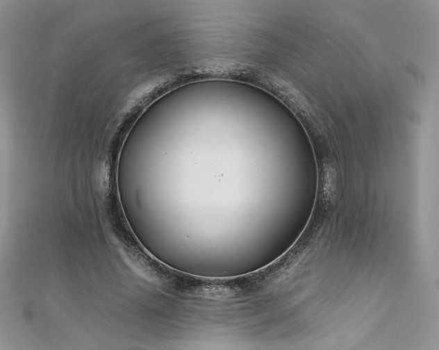 X0000110930636200906181430