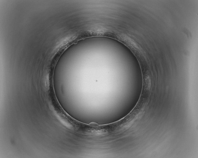 X0000110930638200906181430