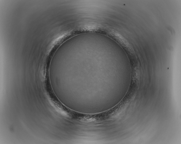 X0000110930640200906181430