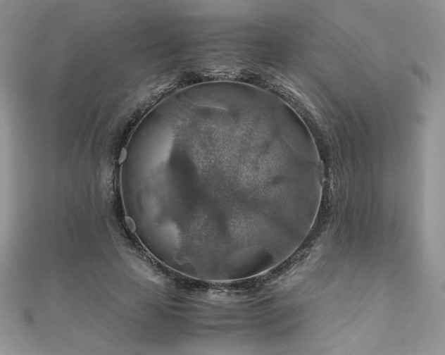 X0000110930641200906181430