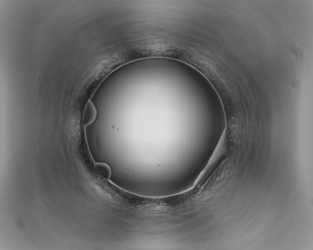 X0000110930642200906181430
