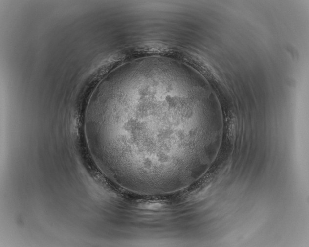 X0000110930643200906181430