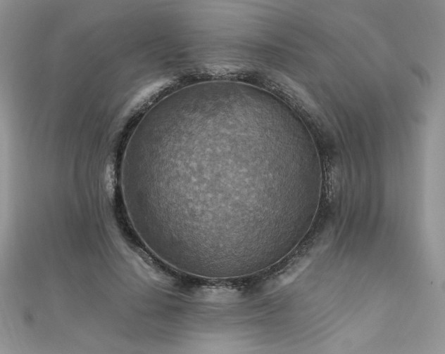 X0000110930644200906181430
