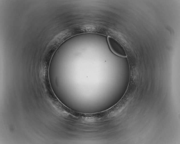 X0000110930645200906181430