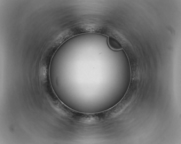 X0000110930646200906181430