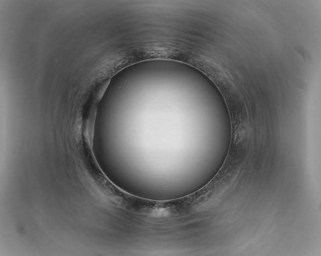 X0000110930647200906181430