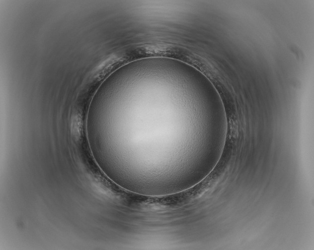 X0000110930648200906181430