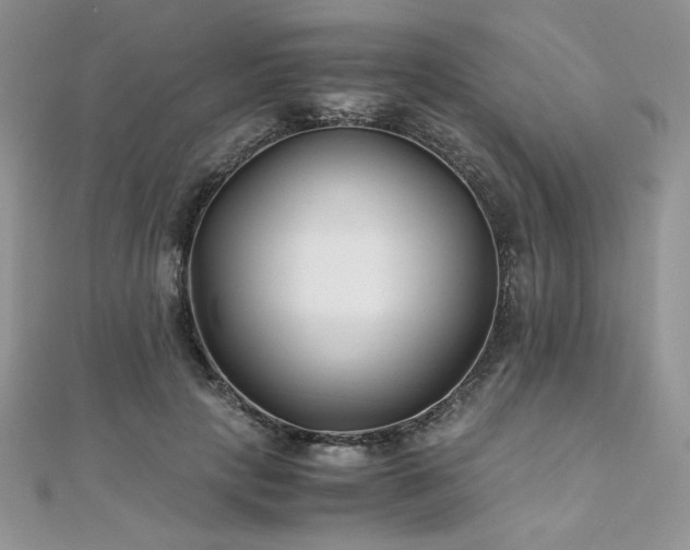 X0000110930649200906181430