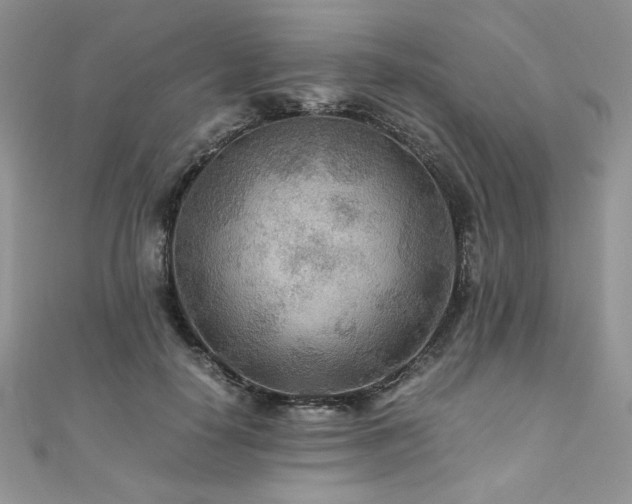 X0000110930650200906181430