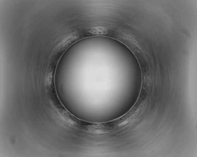 X0000110930652200906181430