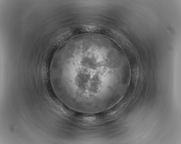 X0000110930653200906181430