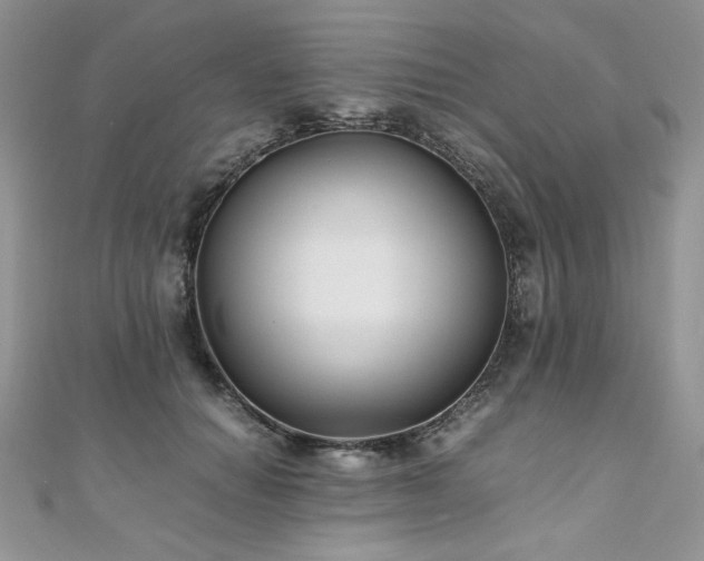 X0000110930654200906181430