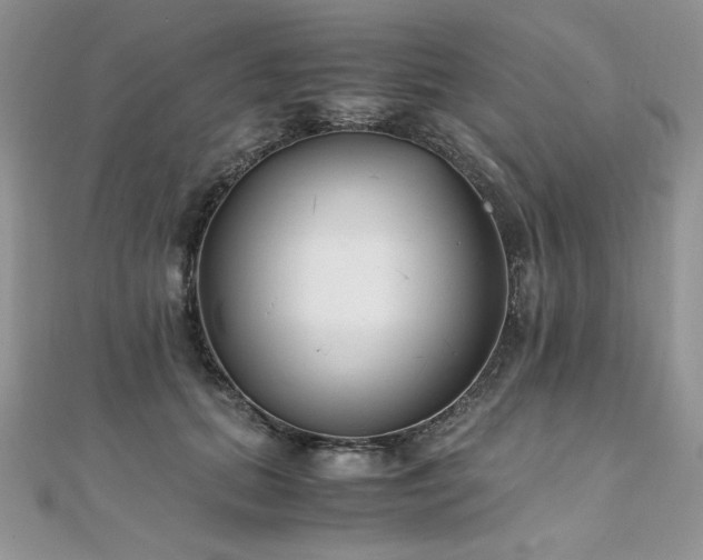 X0000110930655200906181430