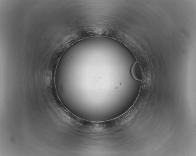 X0000110930656200906181430