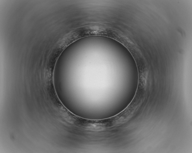 X0000110930657200906181430