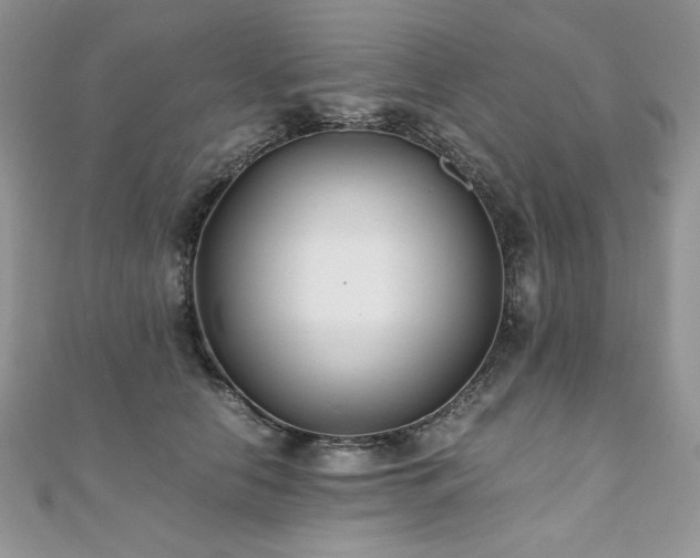 X0000110930658200906181430