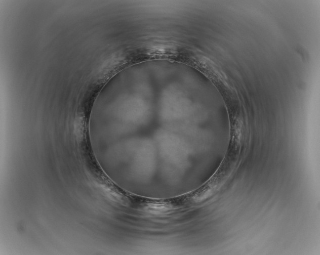 X0000110930659200906181430